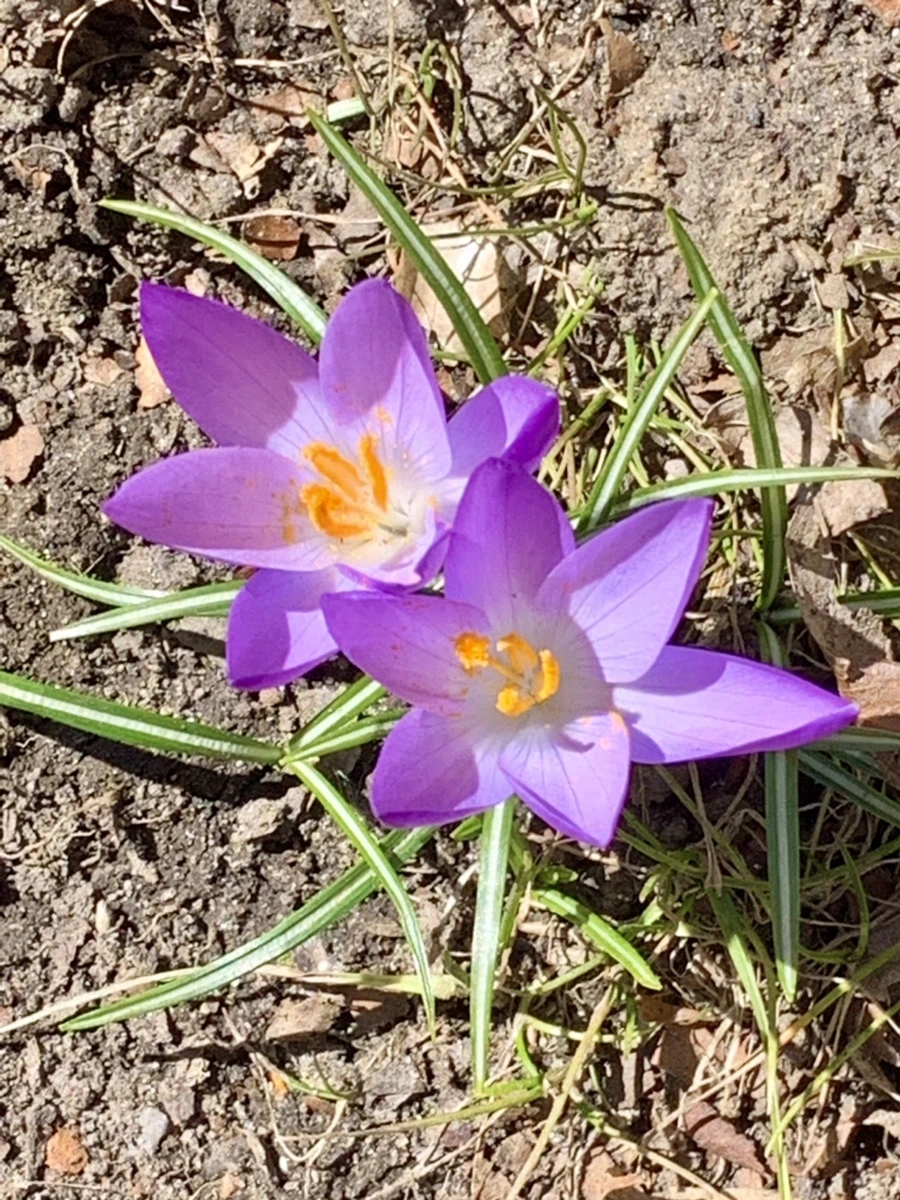 IMG_8212.jpg?type=w966