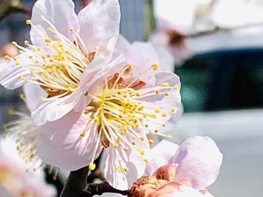 IMG_1006.jpg?type=w966