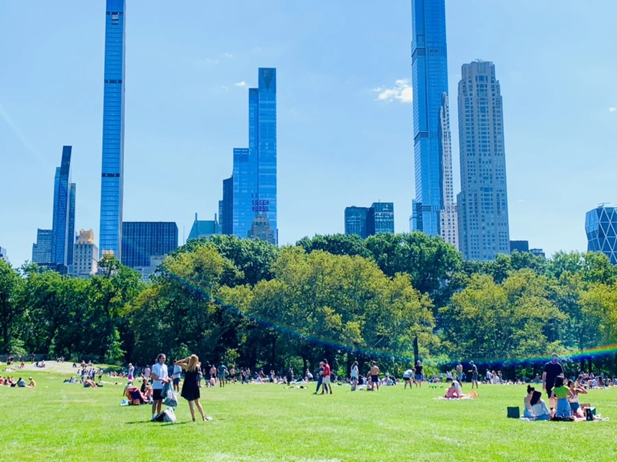 IMG_4378.jpg?type=w966