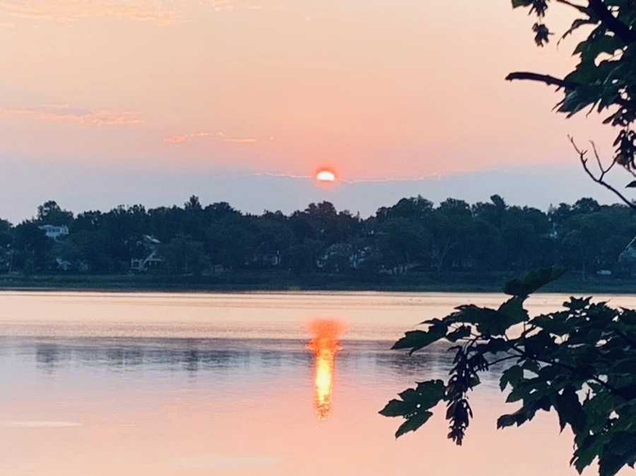 IMG_4652.jpg?type=w966