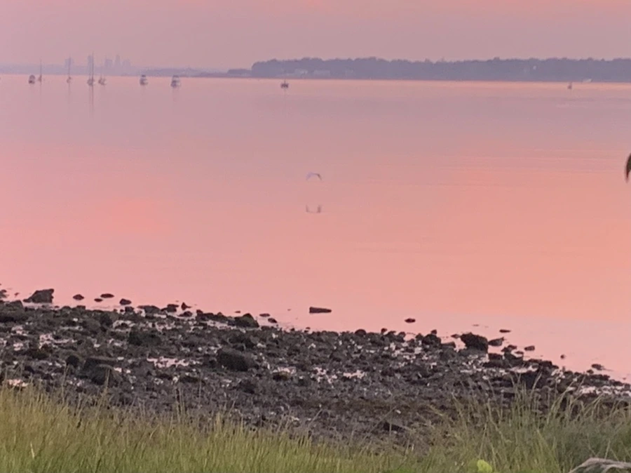 IMG_4355.jpg?type=w966