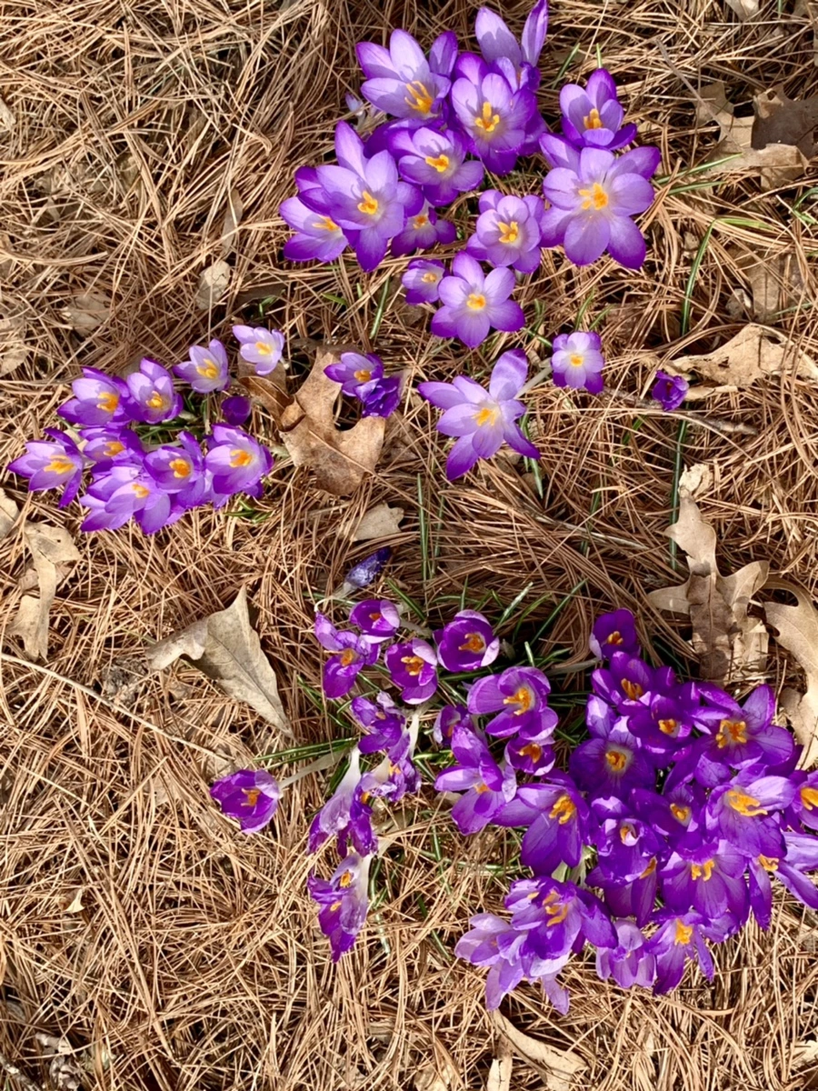 IMG_0448.jpg?type=w966