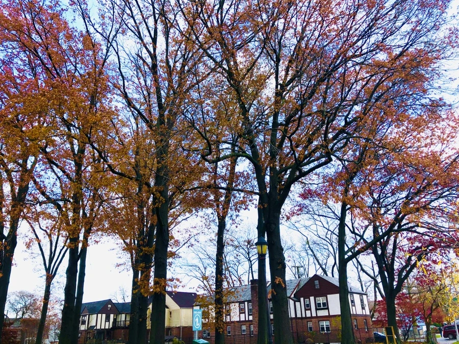 IMG_5429.jpg?type=w966