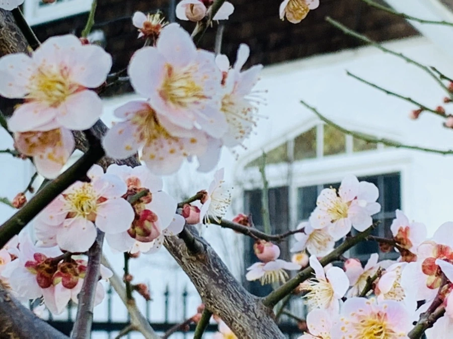 IMG_0879.jpg?type=w966