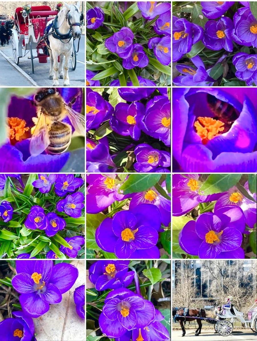 IMG_5642.jpg?type=w966