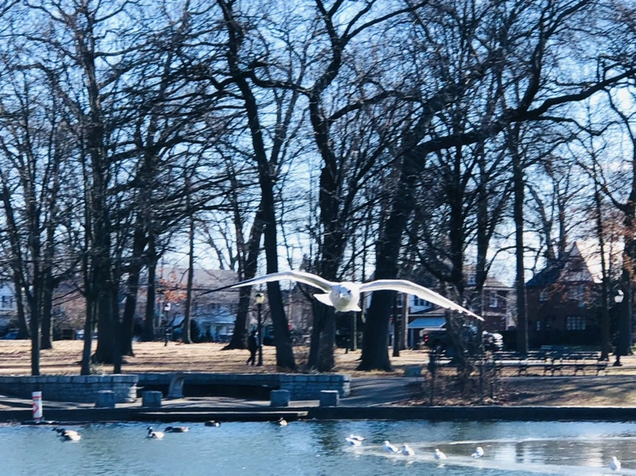 IMG_5429.jpg?type=w966