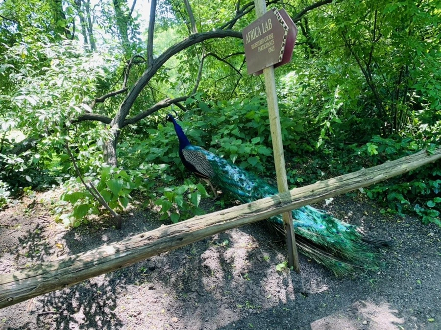 Rre_cnnbEdKiftvasvQN1k7hBY4