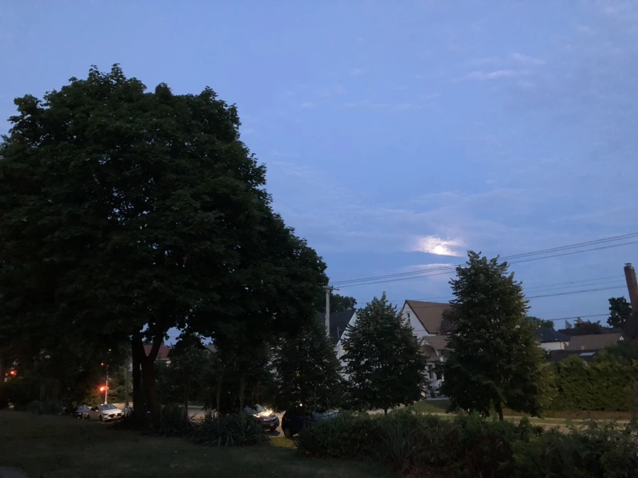 IMG_5542.jpg?type=w966