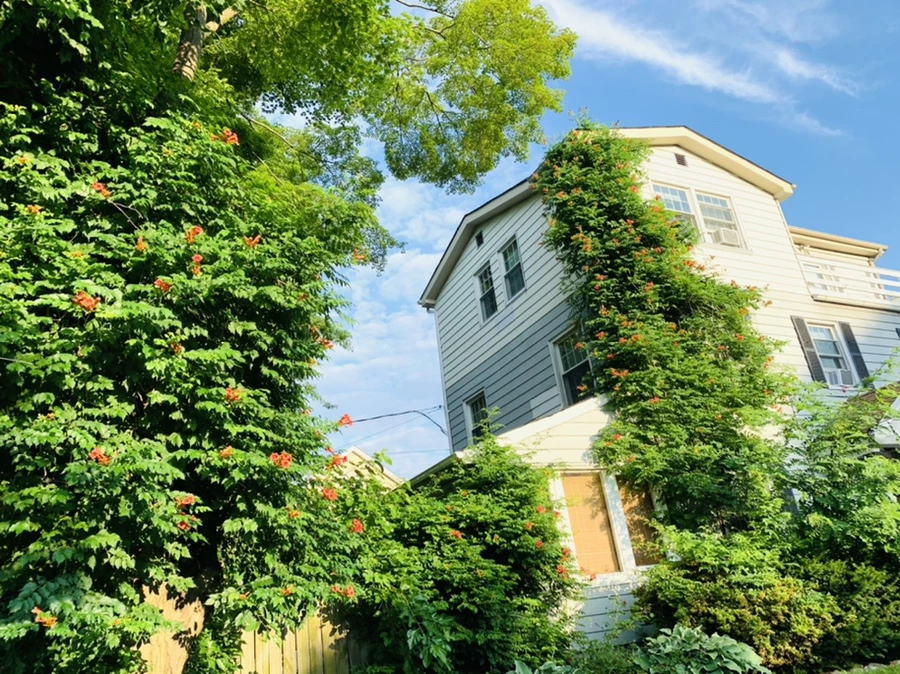 IMG_5825.jpg?type=w966