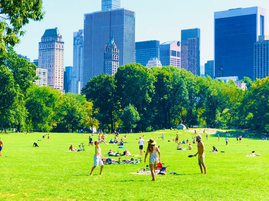 IMG_9391.jpg?type=w966