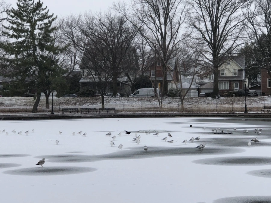 IMG_6178.jpg?type=w966