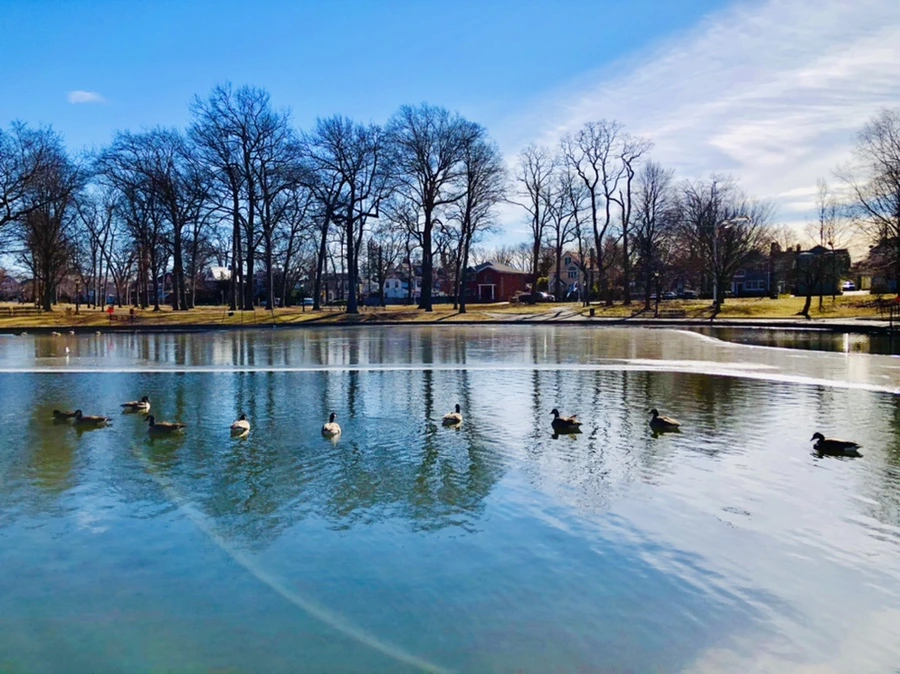 IMG_5492.jpg?type=w966