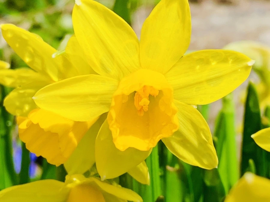 IMG_4021.jpg?type=w966