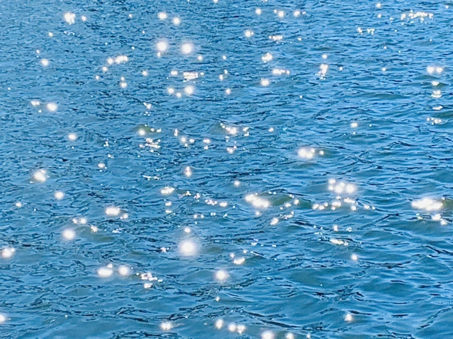 IMG_7568.jpg?type=w966