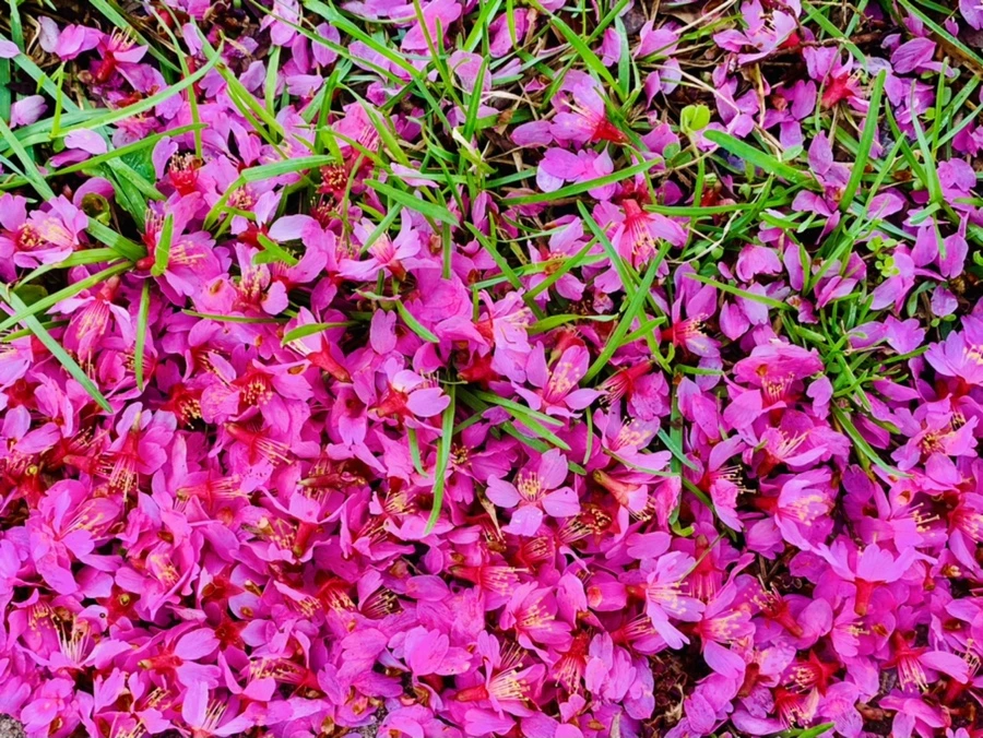 IMG_6273.jpg?type=w966