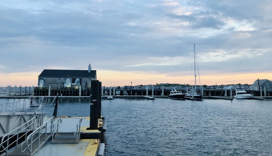 IMG_5135.jpg?type=w966