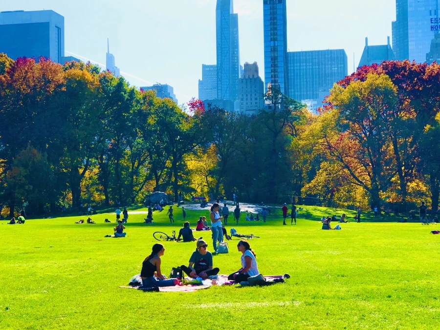 IMG_3809.jpg?type=w966