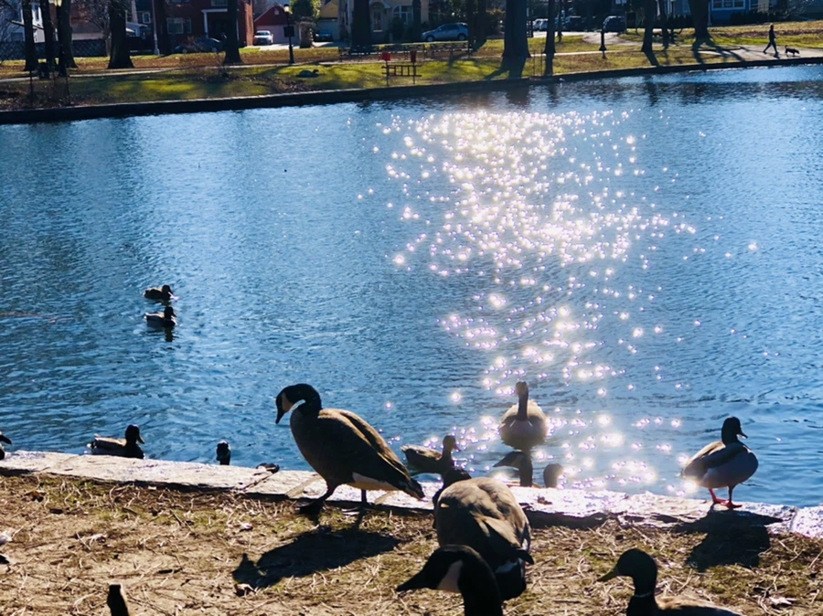 IMG_0233.jpg?type=w966