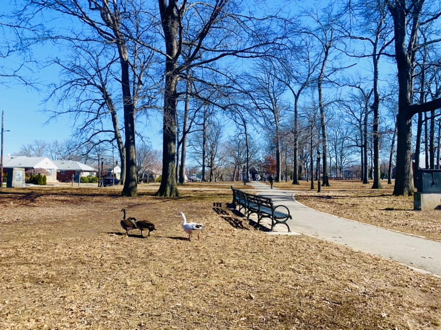 IMG_6824.jpg?type=w966