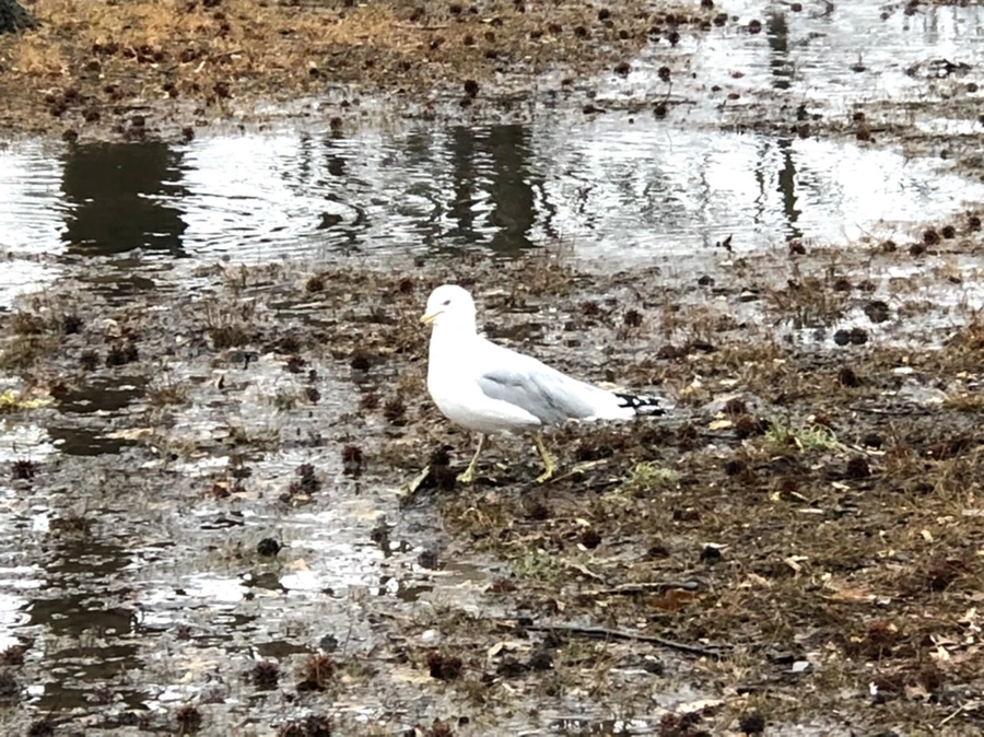 IMG_5691.jpg?type=w966