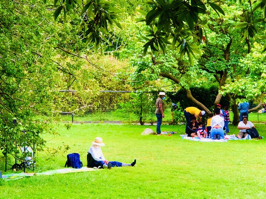 IMG_0062.jpg?type=w966