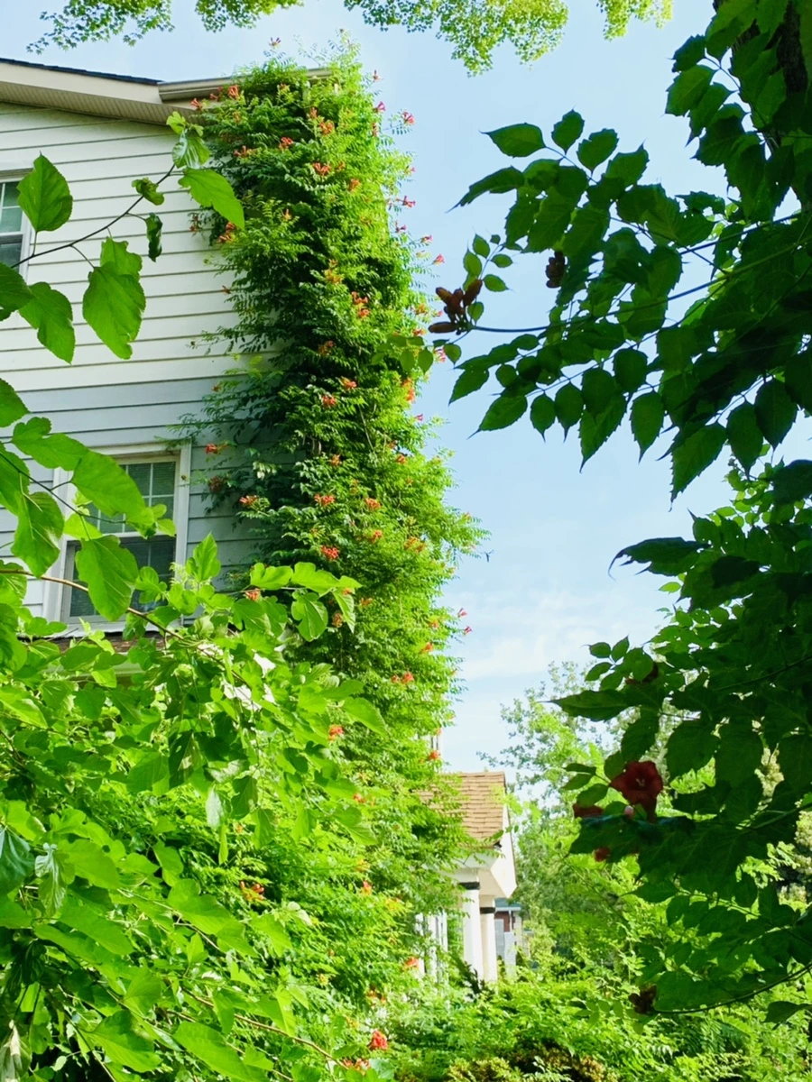 IMG_5717.jpg?type=w966