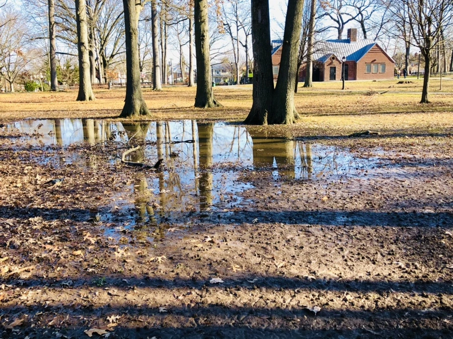 IMG_0258.jpg?type=w966