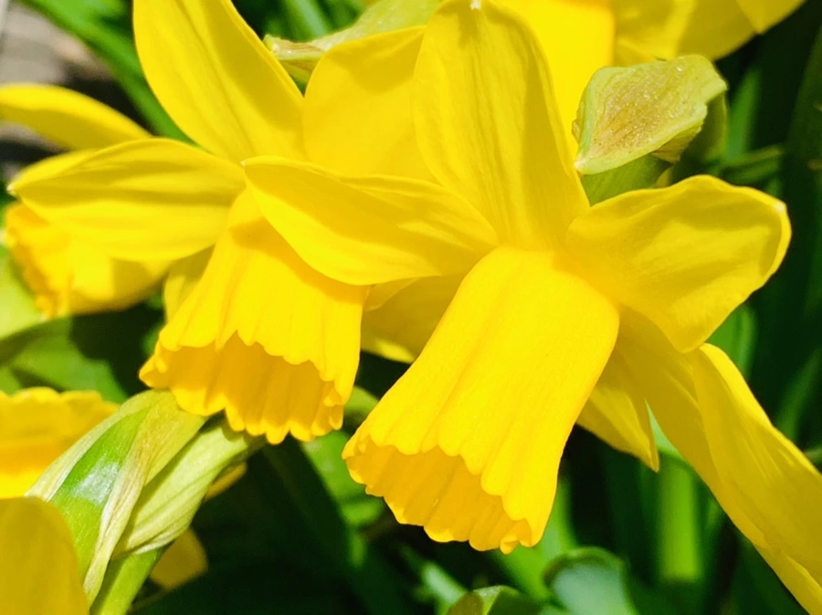 IMG_3388.jpg?type=w966