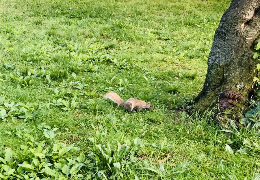 IMG_8055.jpg?type=w966