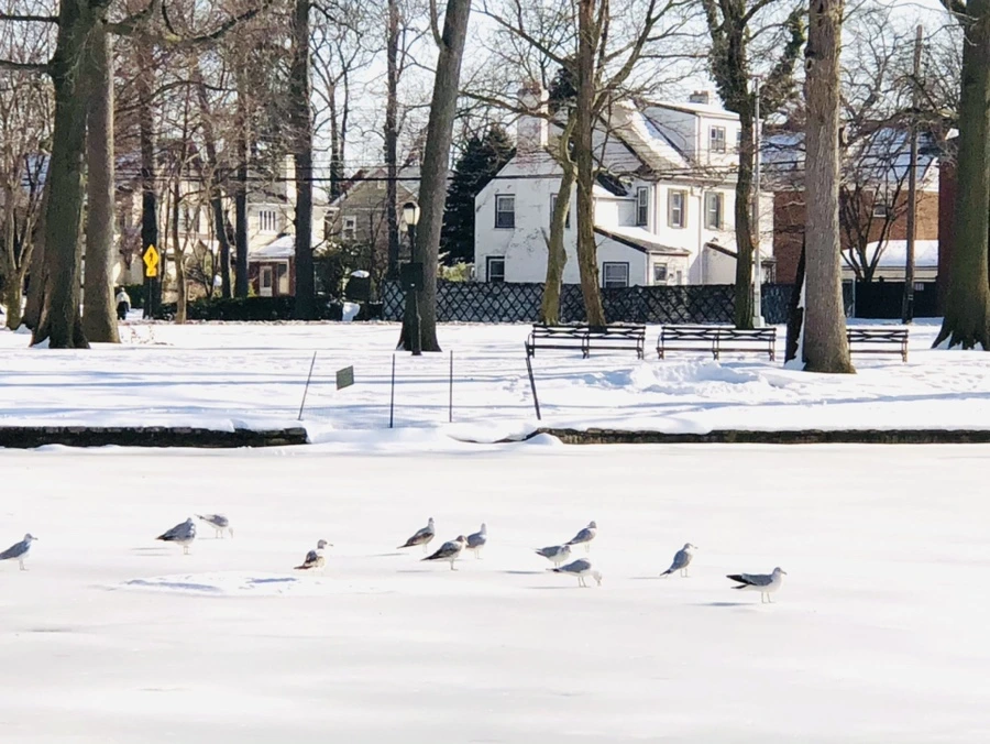 IMG_0328.jpg?type=w966