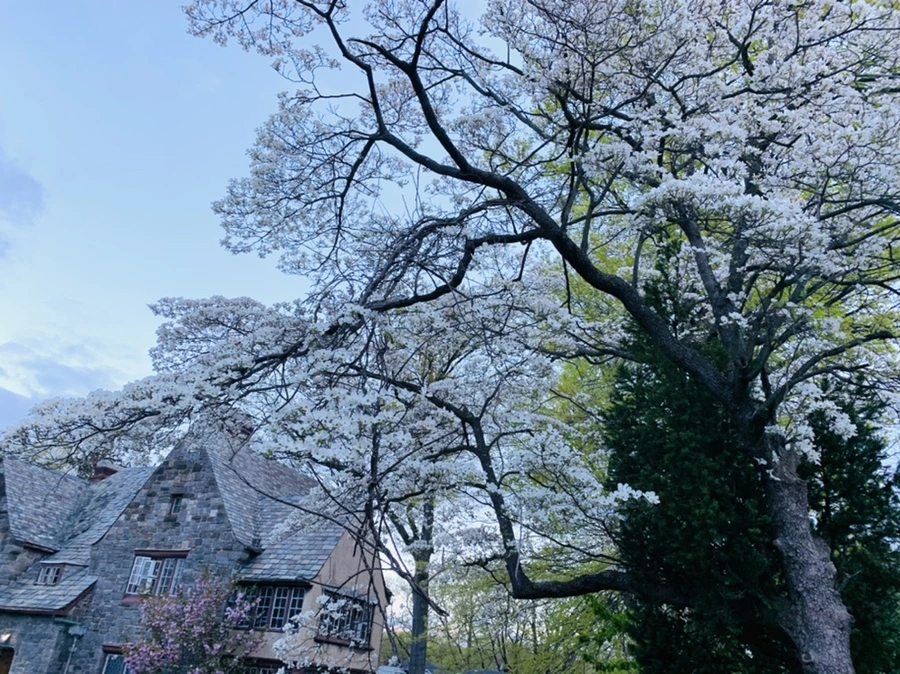 IMG_7568.jpg?type=w966