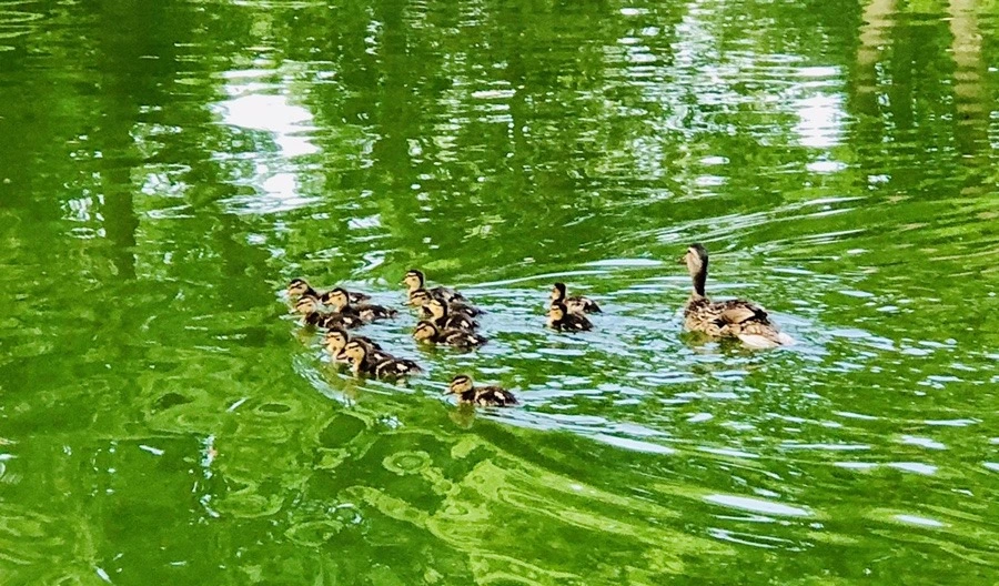 -GDnfXTOucOtodG5kYyiRE1YC0Y