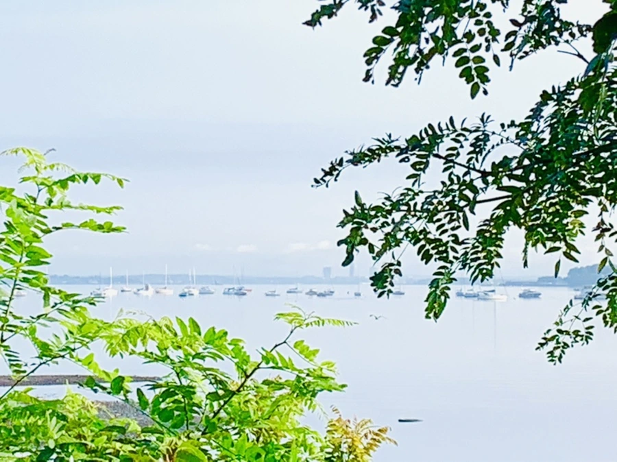 IMG_4377.jpg?type=w966