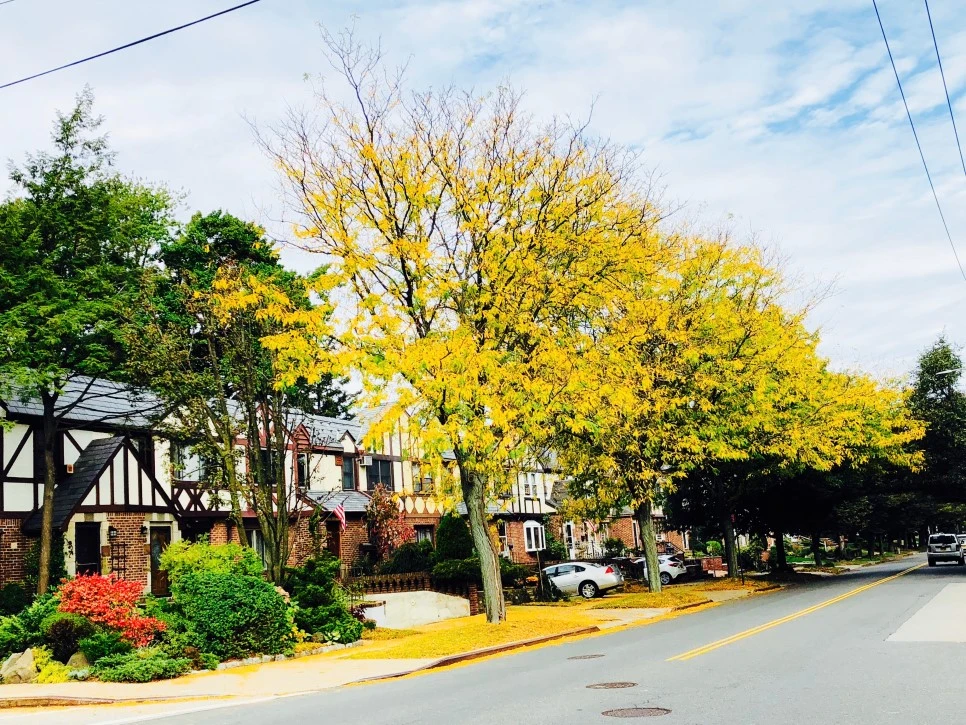 IMG_E0407.jpg?type=w966