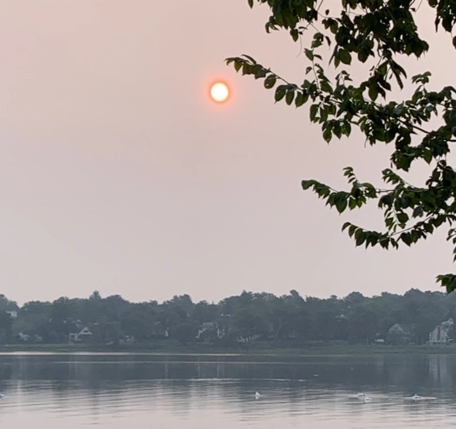 IMG_8094.jpg?type=w966