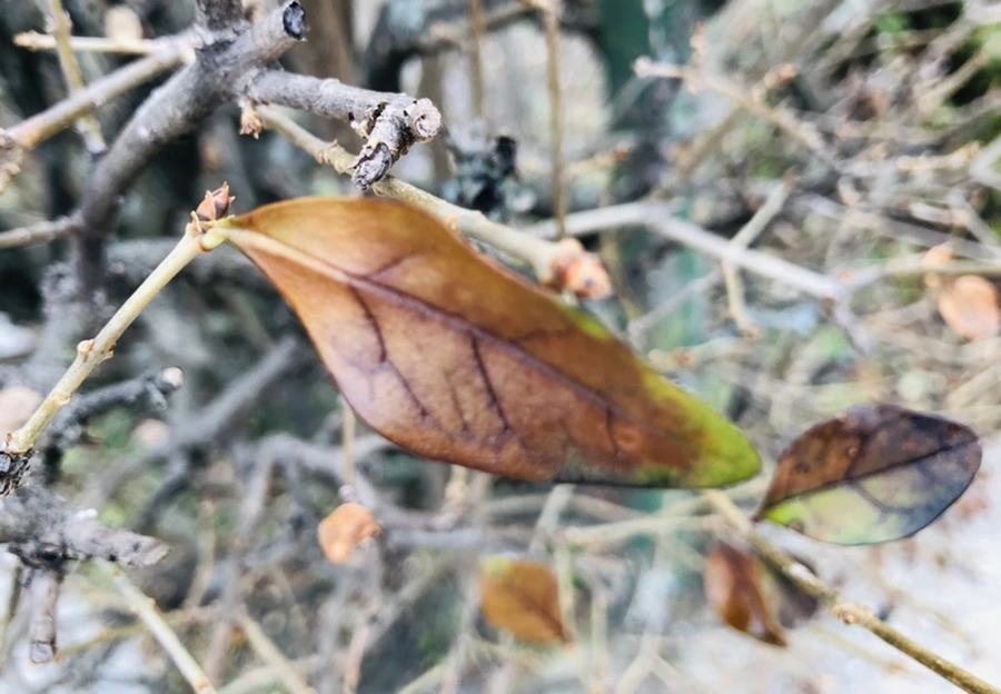 IMG_6355.jpg?type=w966