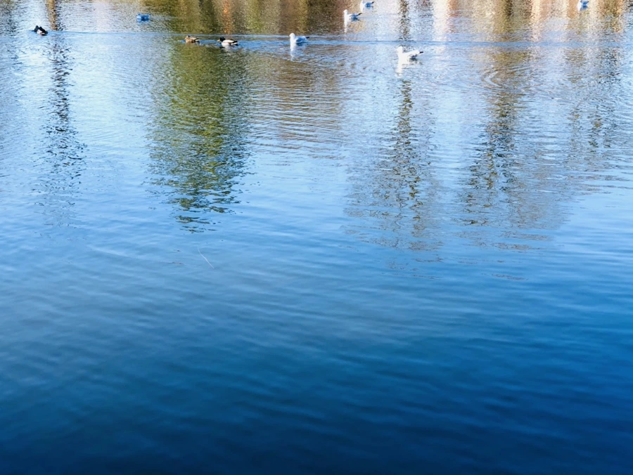 IMG_9764.jpg?type=w966