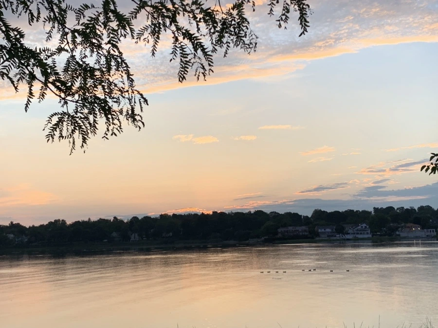 IMG_1215.jpg?type=w966