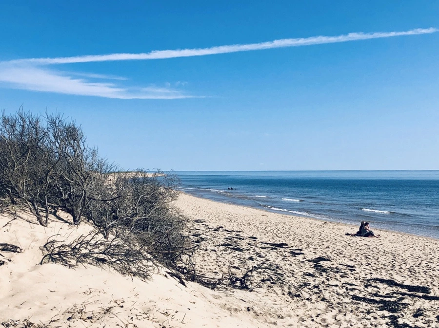 IMG_5118.jpg?type=w966