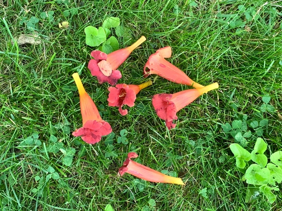 IMG_5826.jpg?type=w966