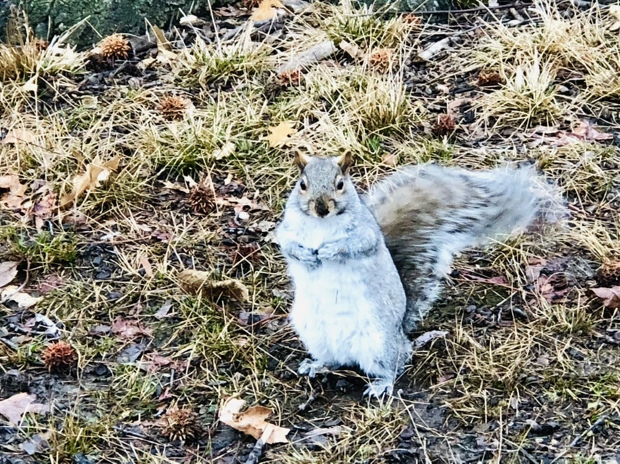 IMG_9551.jpg?type=w966