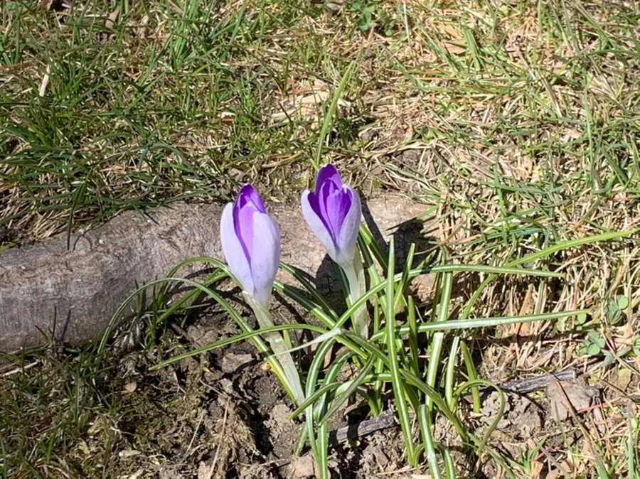 IMG_8197.jpg?type=w966