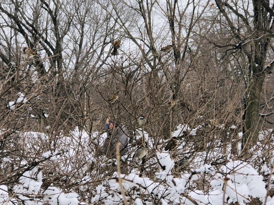 IMG_9543.jpg?type=w966