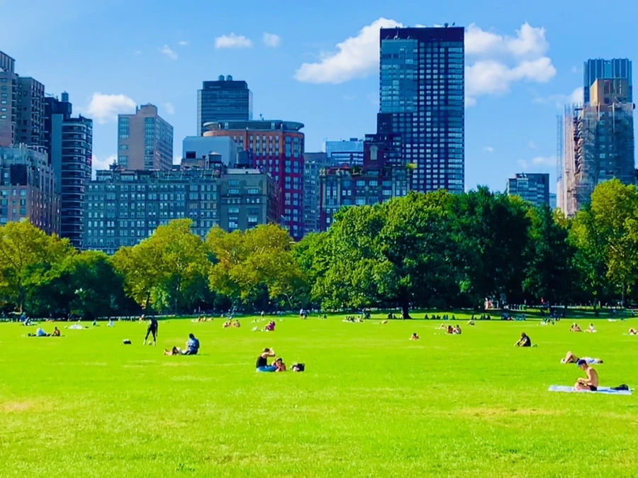 IMG_9679.jpg?type=w966