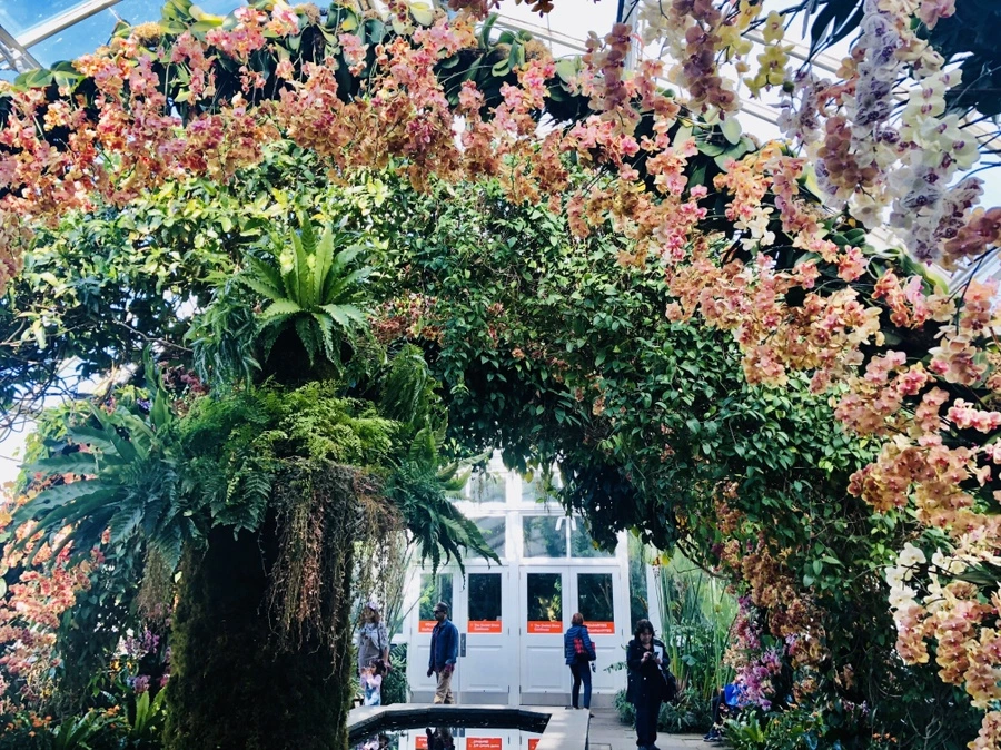 IMG_6288.jpg?type=w966