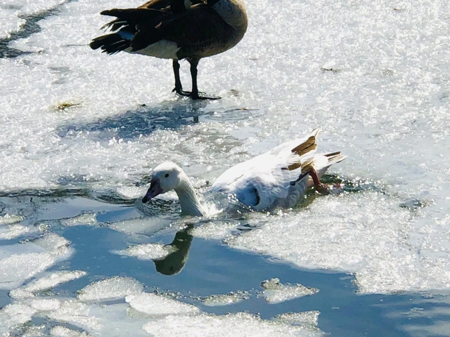 IMG_5412.jpg?type=w966