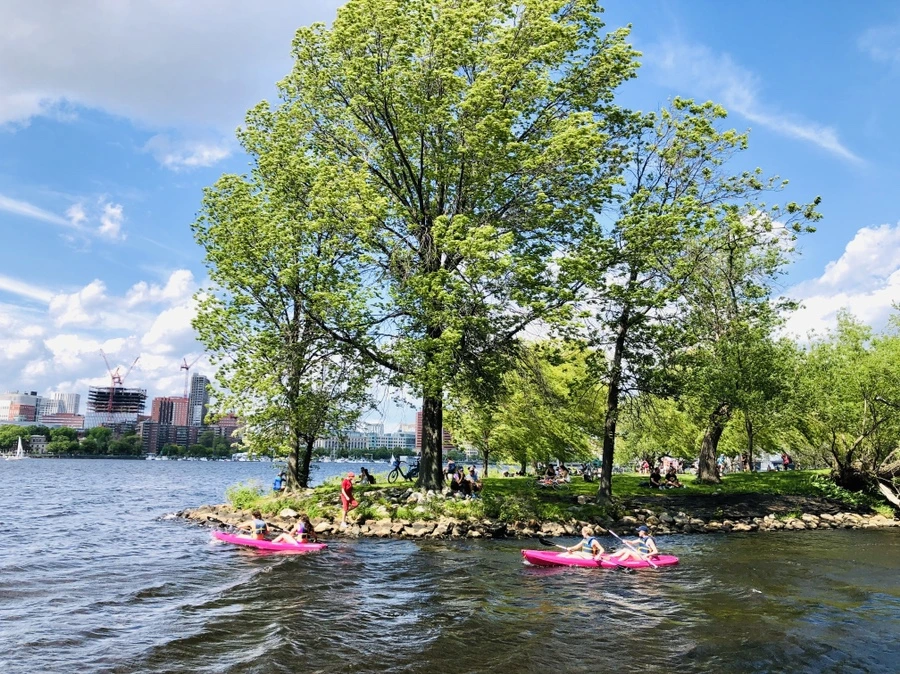 IMG_5235.jpg?type=w966