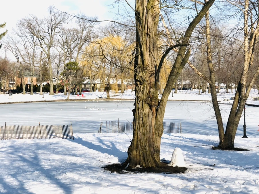 IMG_0367.jpg?type=w966