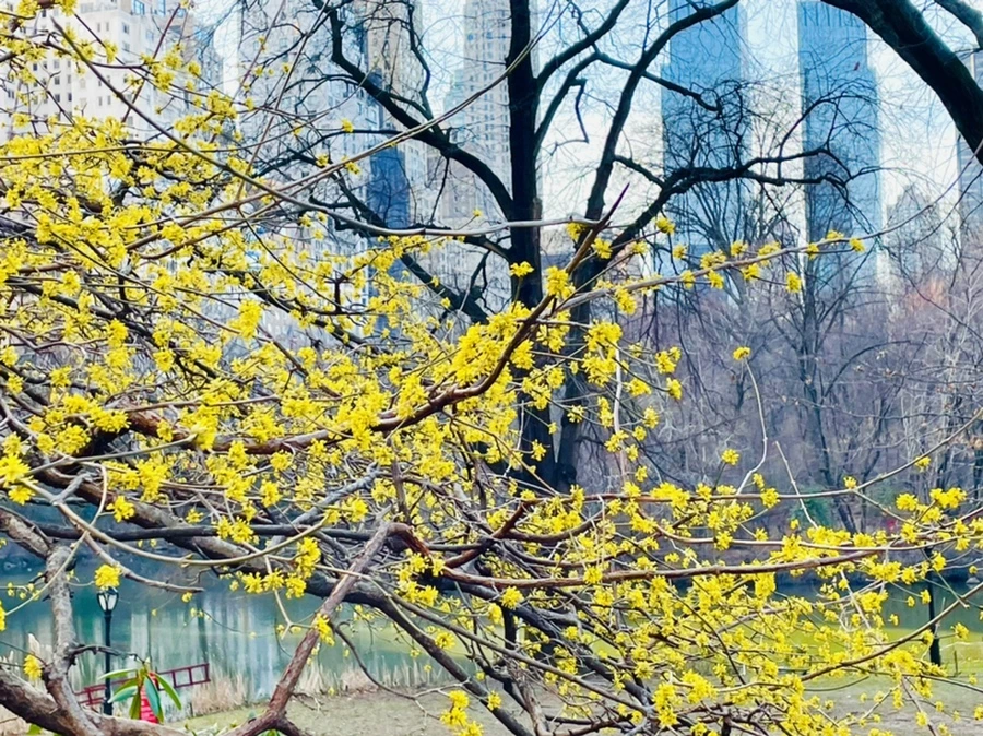 IMG_5398.jpg?type=w966