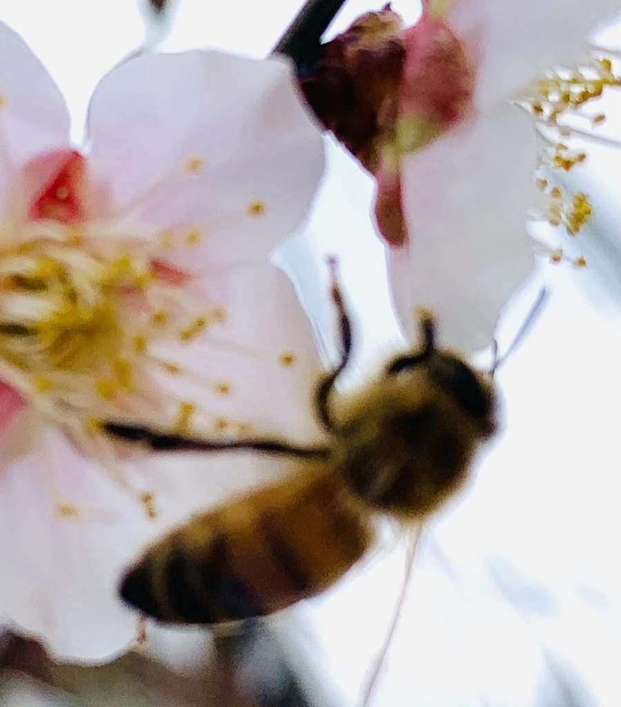 IMG_0520.jpg?type=w966